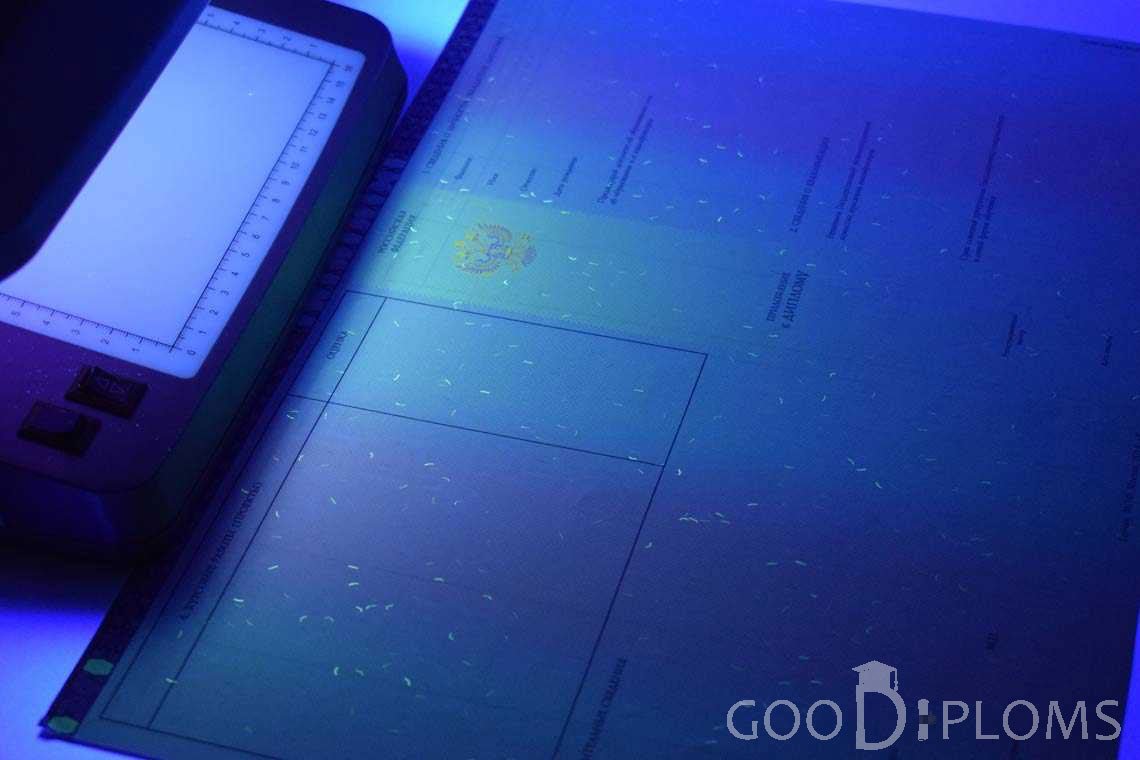 Приложение к Диплому Бакалавра с Отличием в Ультрафиолете период c 2013 по 2025 год - Херсон