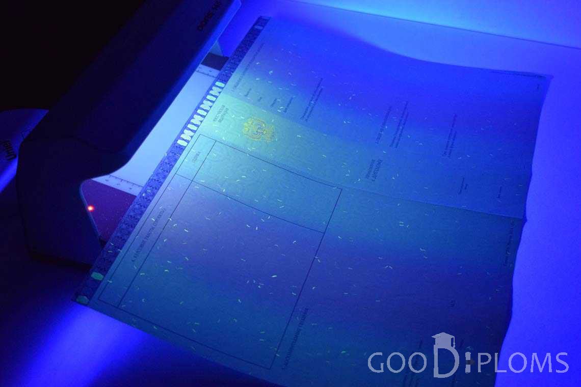 Приложение к Диплому Магистра в Ультрафиолете в период c 2014 по 2025 год - Херсон