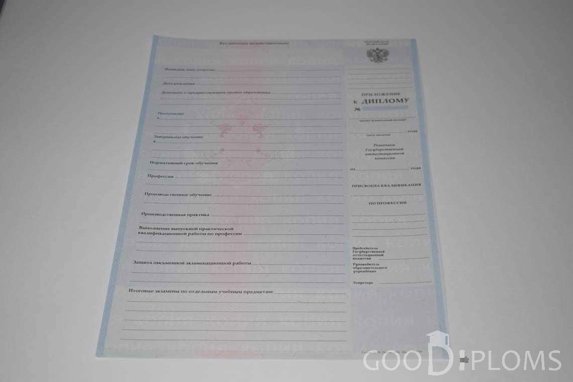 Приложение к Диплому Техникума с Отличием в период c 2008 по 2010 год - Херсон