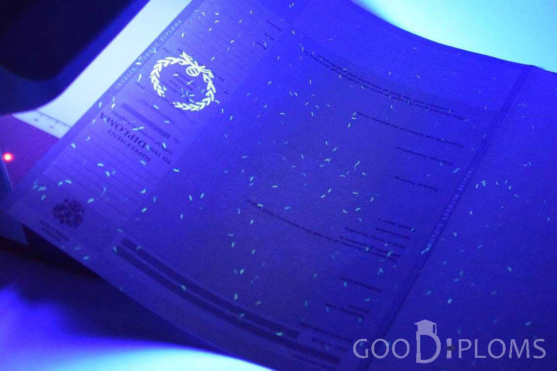 Приложение к Диплому Для Иностранных Граждан в Ультрафиолете - Херсон