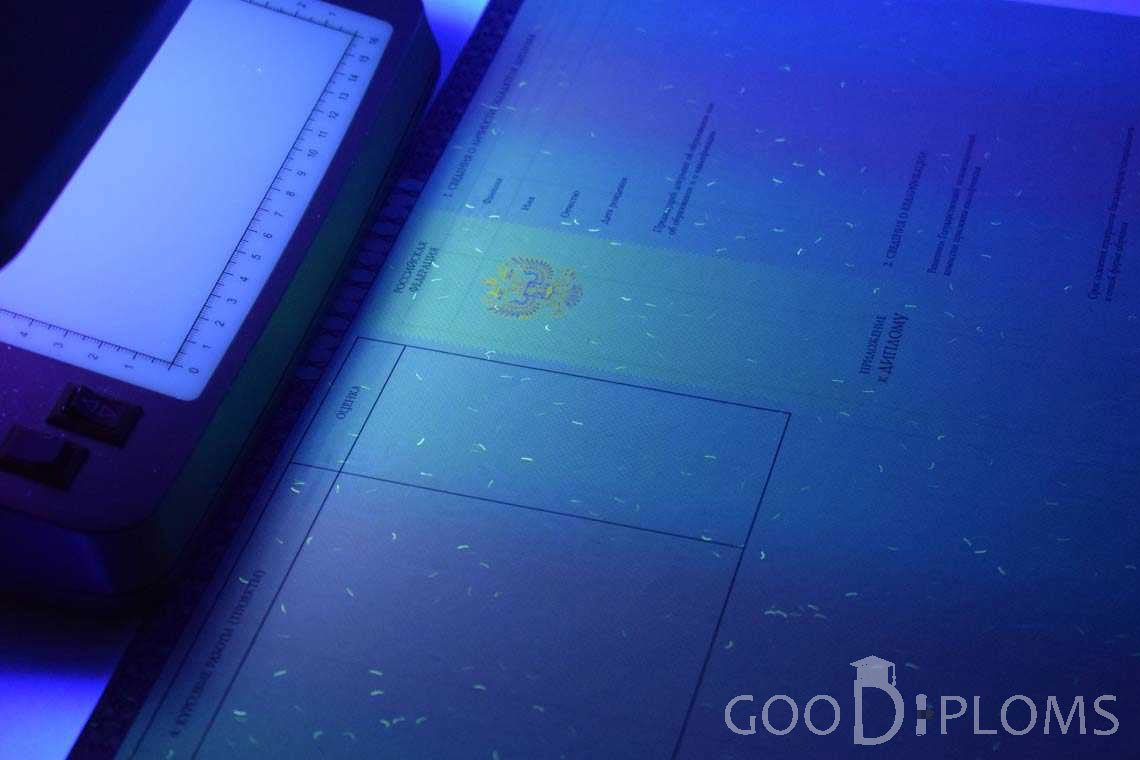 Приложение к Диплому о Высшем Образовании с Отличием в Ультрафиолете - Херсон
