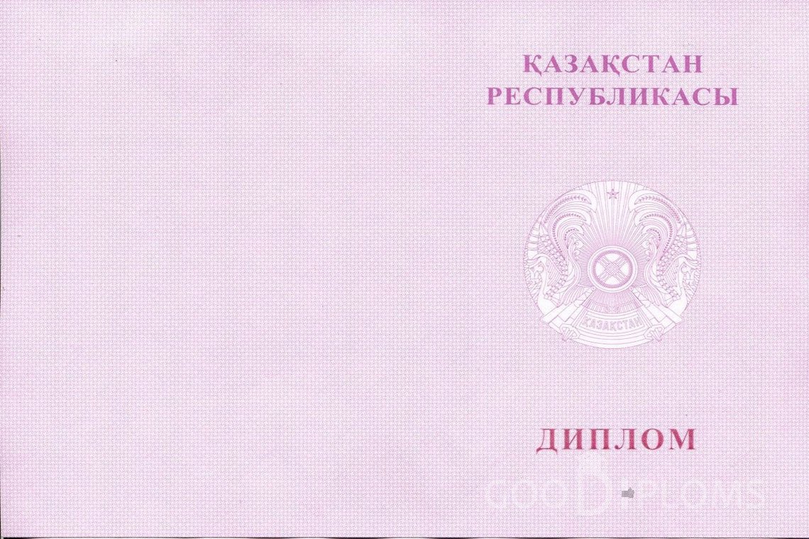 Казахский диплом магистра с отличием - Обратная сторона- Херсон